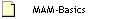 MAM-Basics