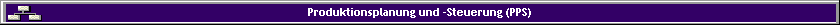 Produktionsplanung und -Steuerung (PPS)